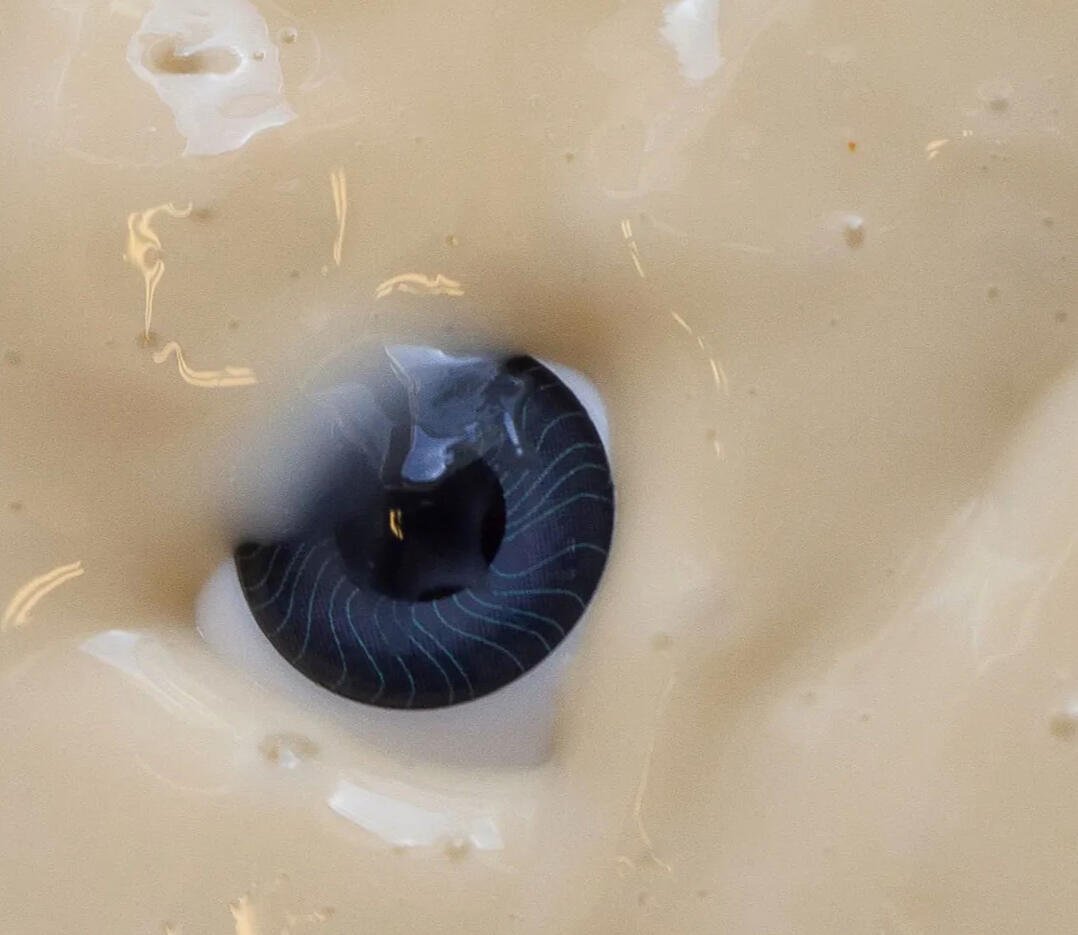 “We Will No Longer Be Taking Care of Ourselves” and “A Wild Hare” — Fiction, Lit Angels, 2024